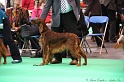 Crufts2011 632